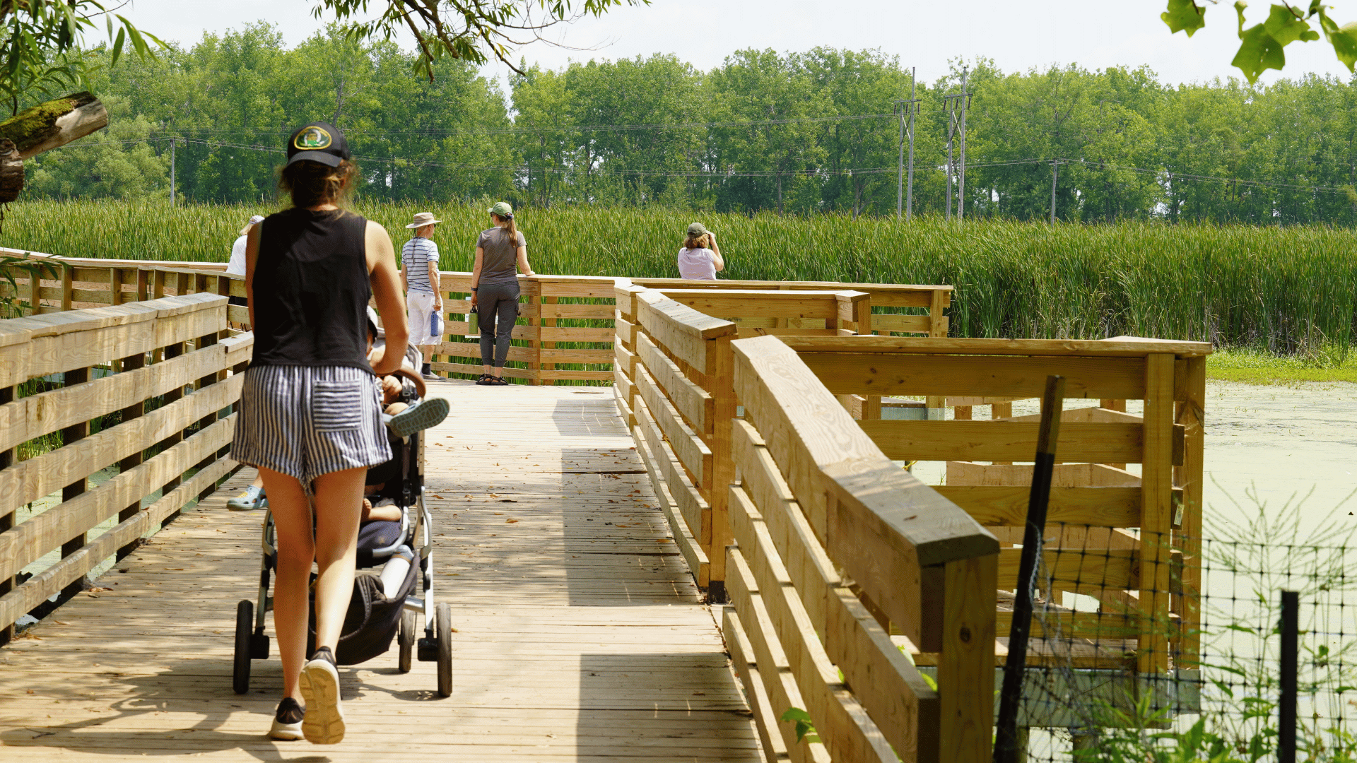 Family walking on new accessibility trail with strollers
