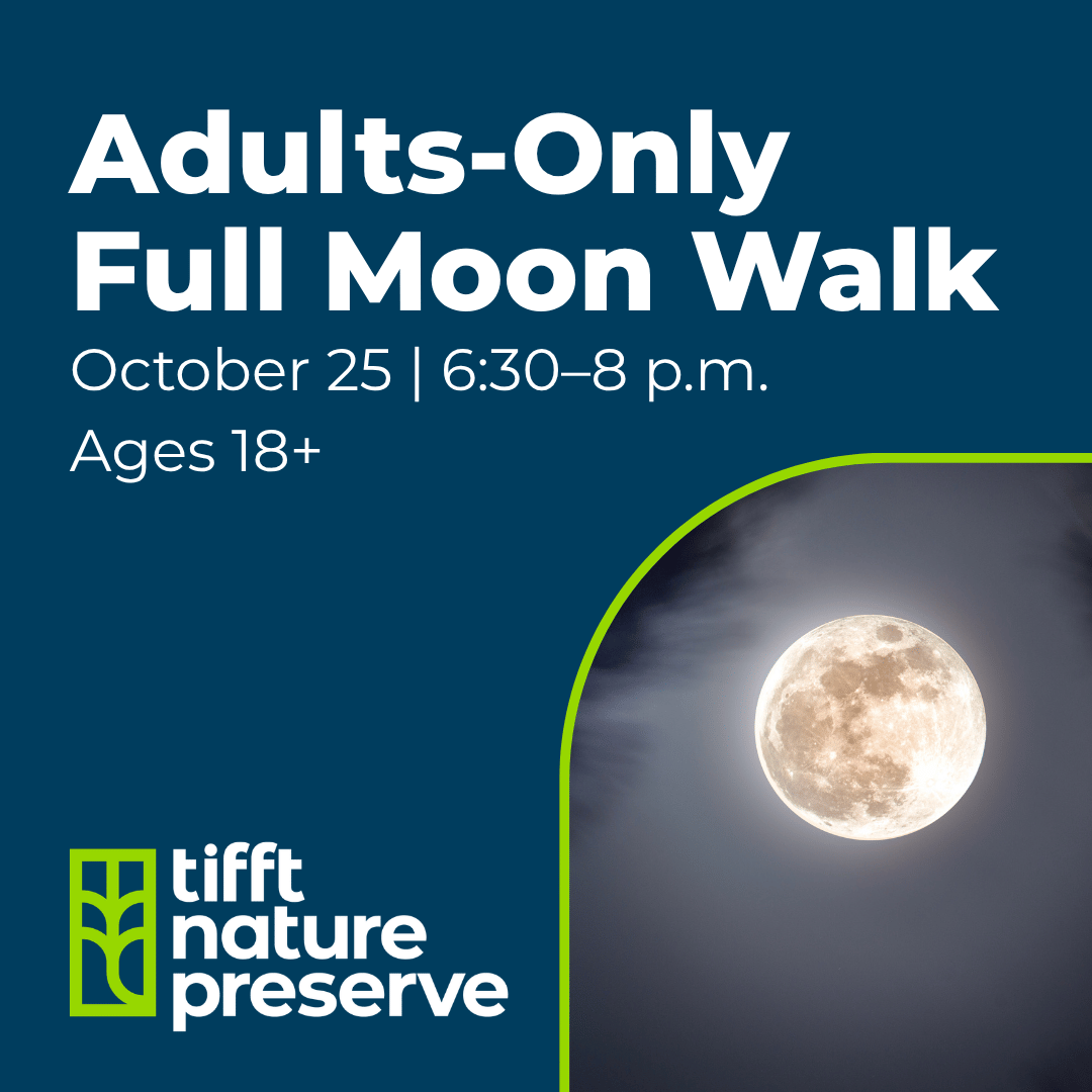 Adults-only full moon walk at Tifft