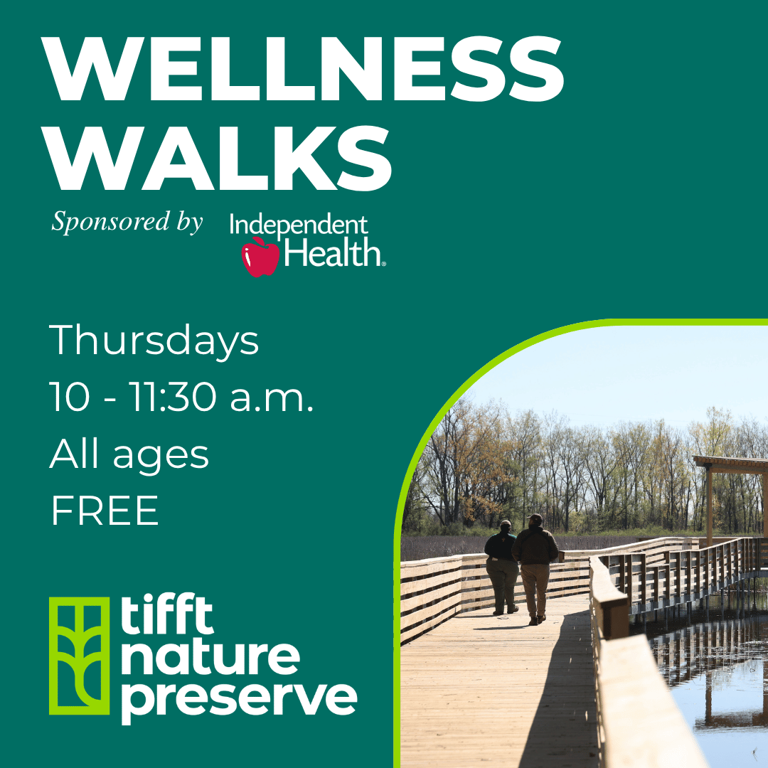 Wellness walks at Tifft