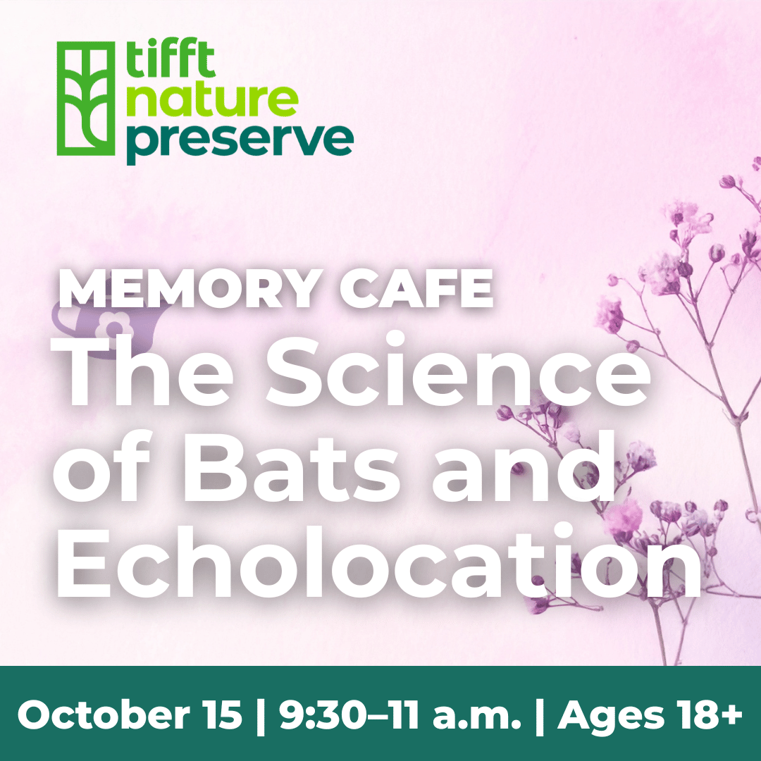 Science of Bats and Echolocation at Tifft