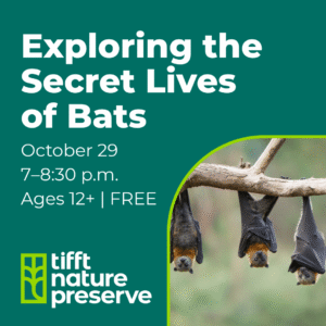 Exploring the Secret Lives of Bats event ad