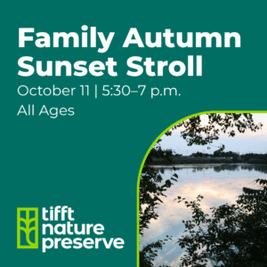Family autumn stroll at tifft