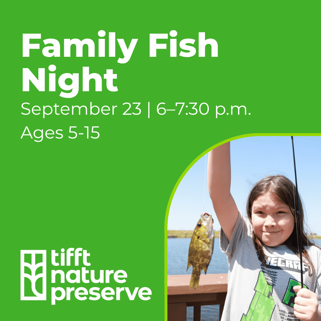 Family fishing night at tifft