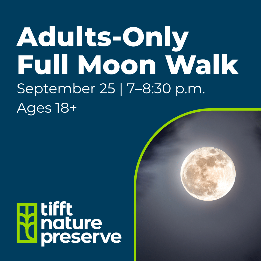 Adults-only full moon walk at Tifft