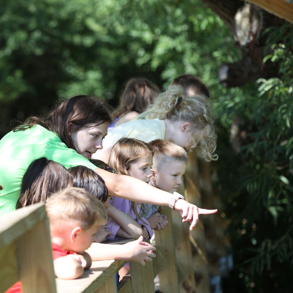 Kids on a tour at Tifft
