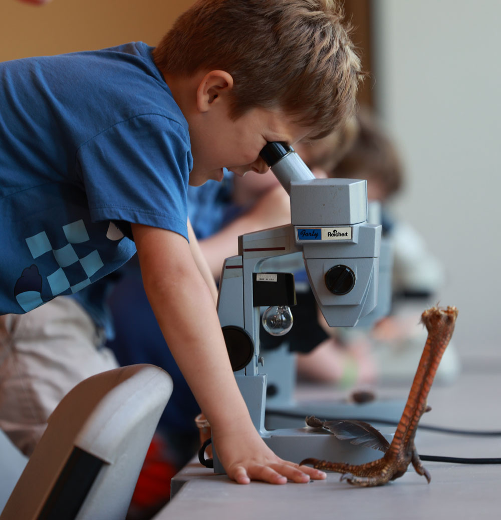 Kids looking through microscope at Tifft